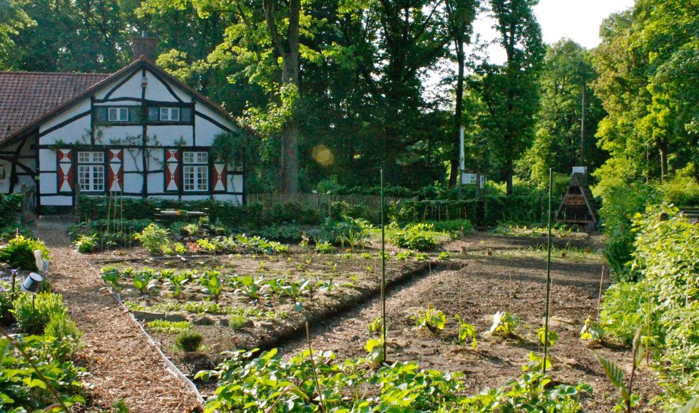 Volkstuintjes Hengelhoef