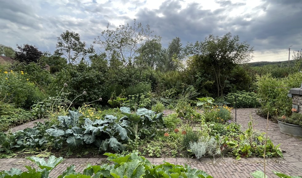 Houwaart_Halderstraat_Leen en Pirre