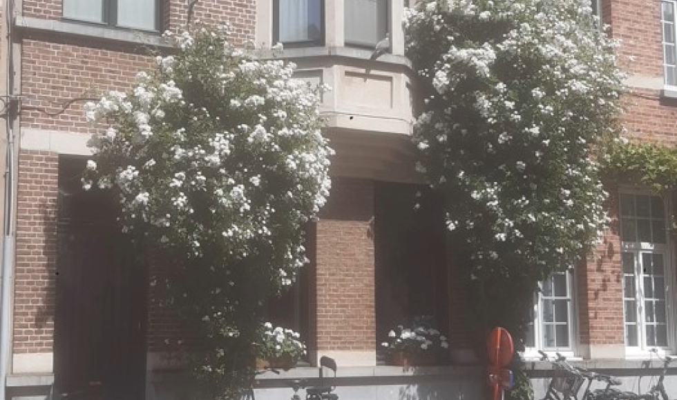 Ogezlaan Lier Guy en Tinne