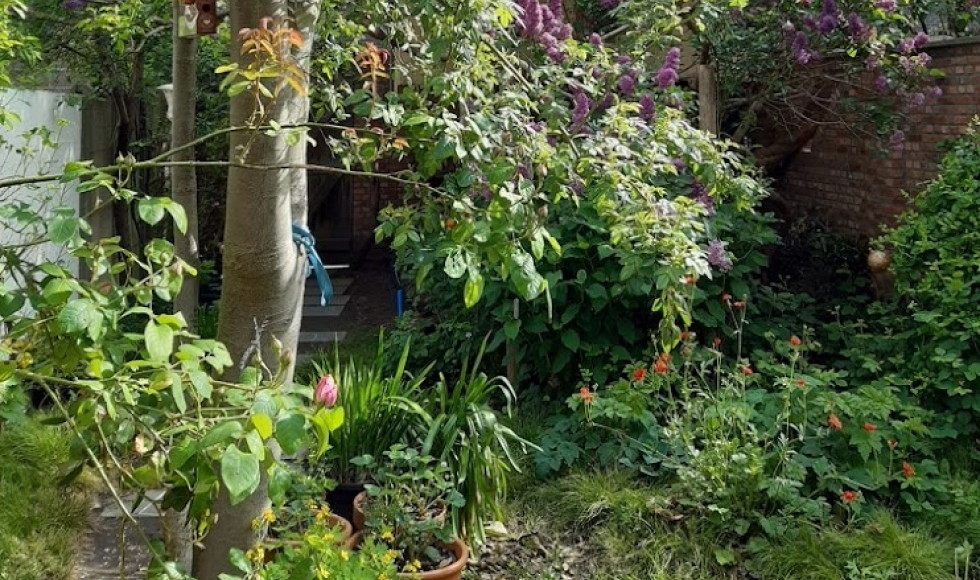 Ogezlaan Lier Guy en Tinne