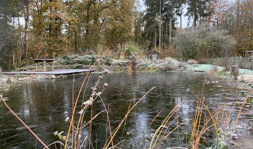 ecotuin met vijver in Austerlitz