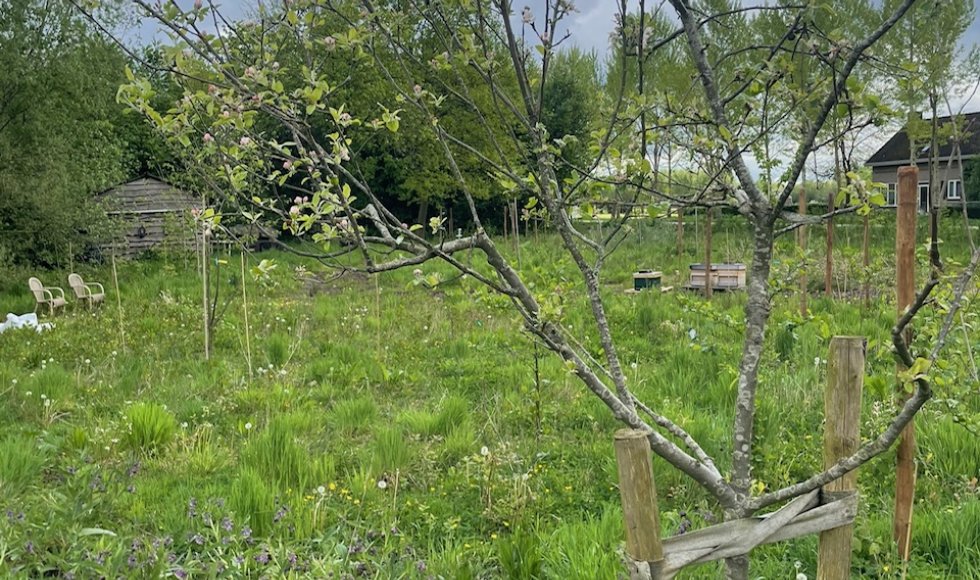 Voedselbos dn Oetelaar