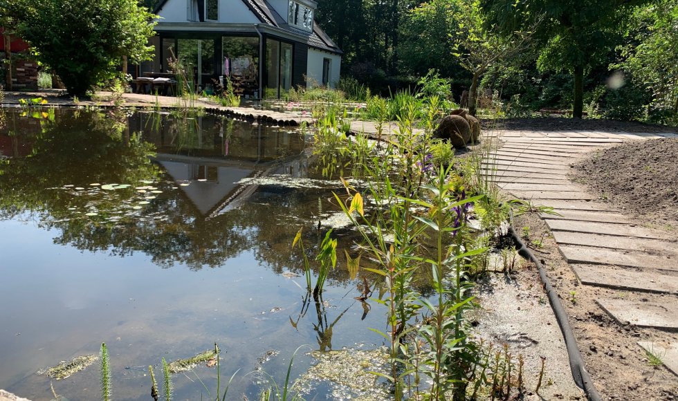 ecotuin met vijver in Austerlitz