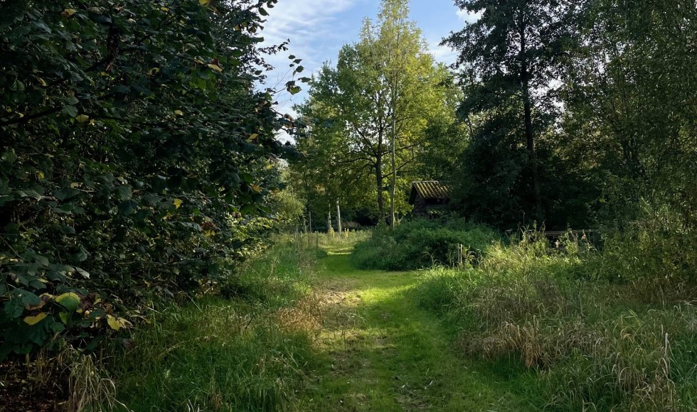 Voedselbos dn Oetelaar 1