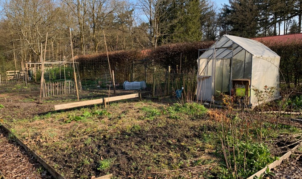 ecotuin met vijver in Austerlitz