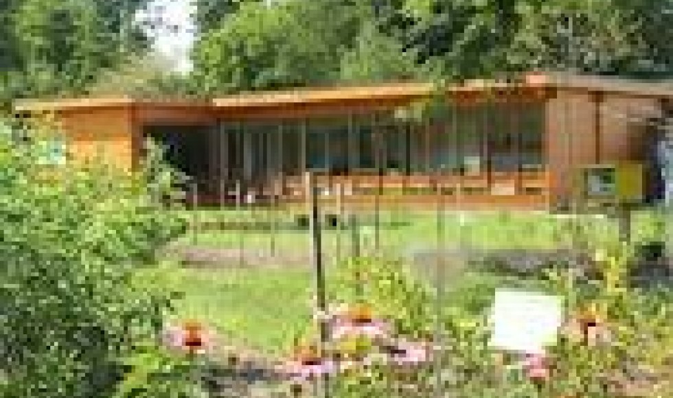 Bijencentrum De Raam 3