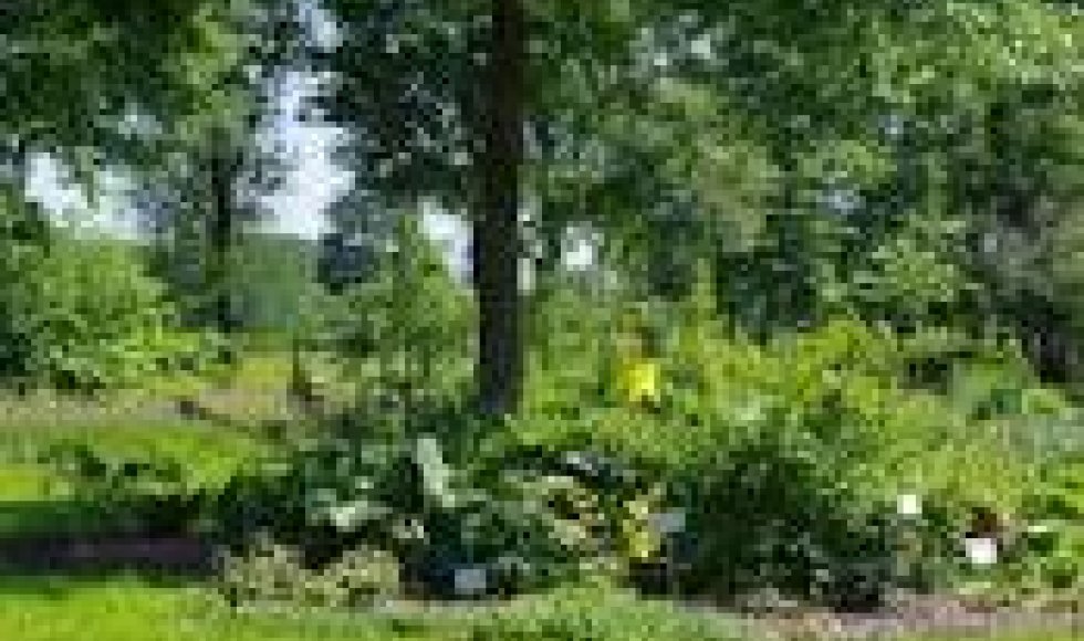 Bijencentrum De Raam 5