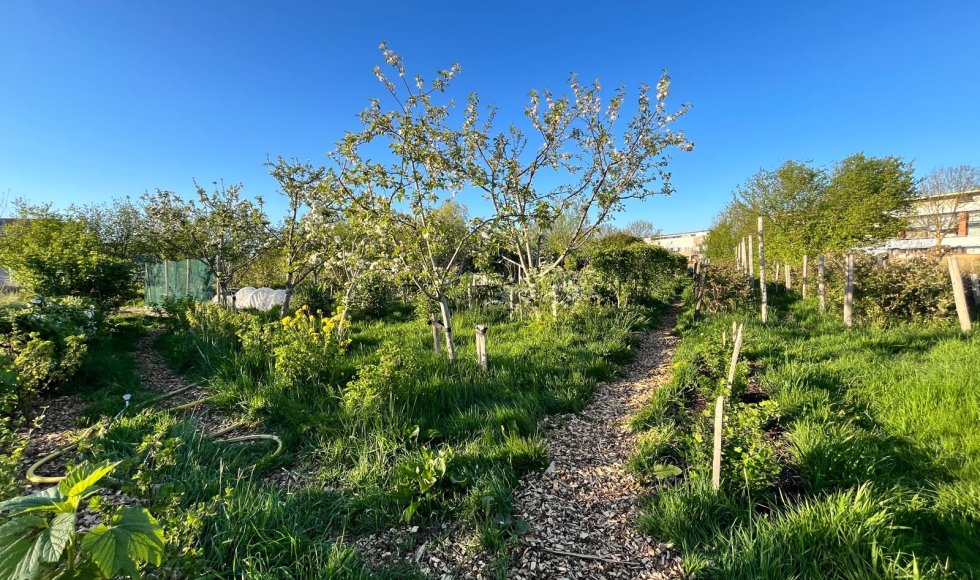 Wijktuin Alphense Wetering