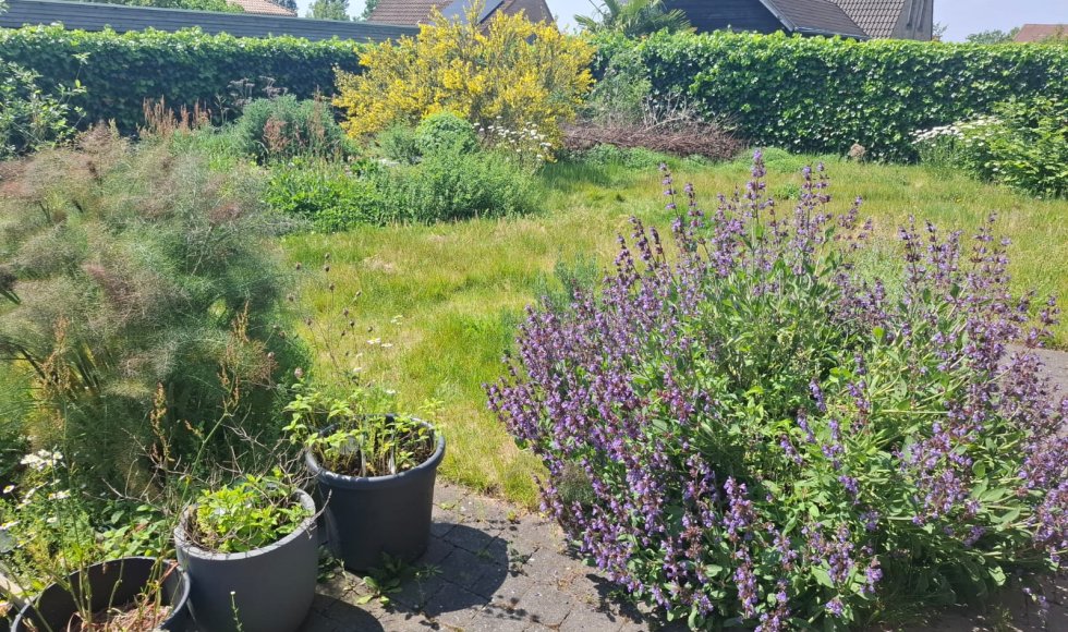 Robbe Cool_Izegem