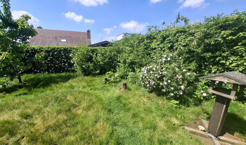 Robbe Cool_Izegem