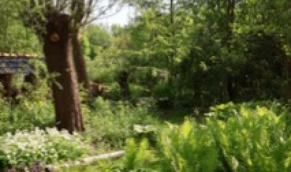 Natuurtuin Nuchter Tzum