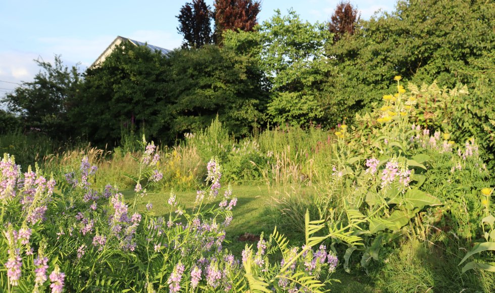 natuurlijke pluktuin