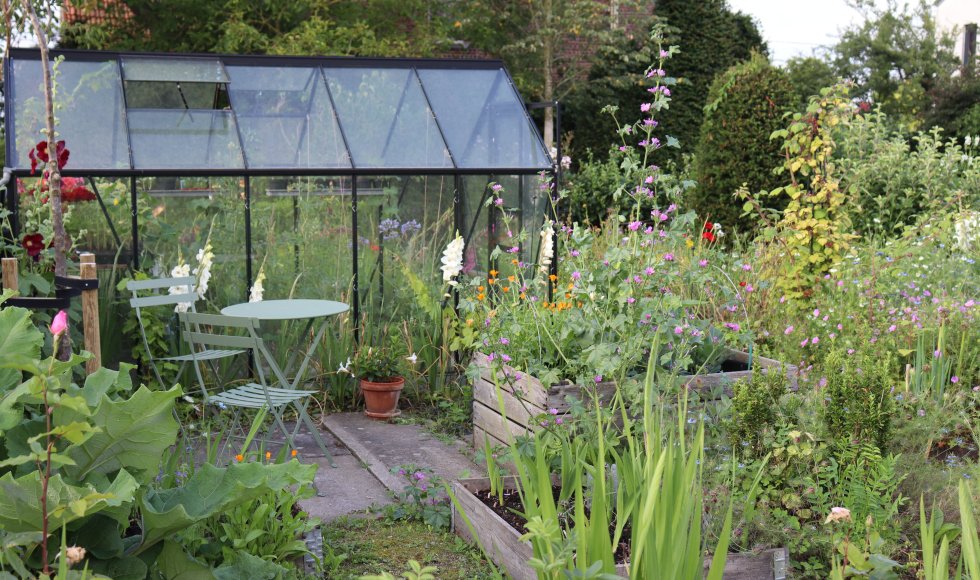 natuurlijke pluktuin