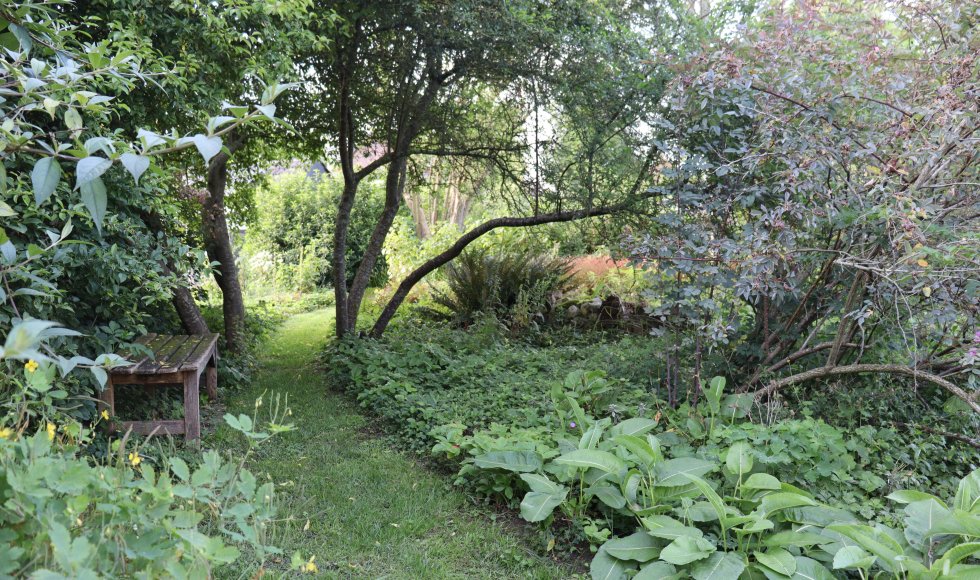 natuurlijke pluktuin