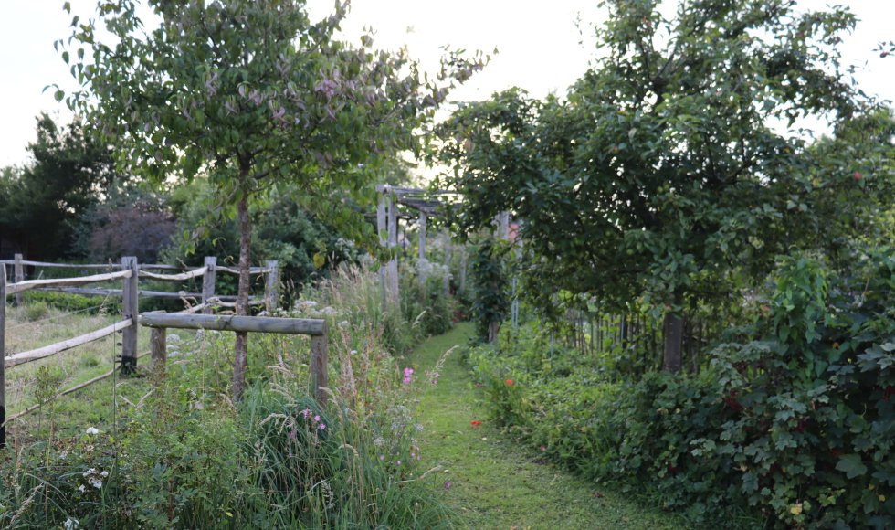 natuurlijke pluktuin
