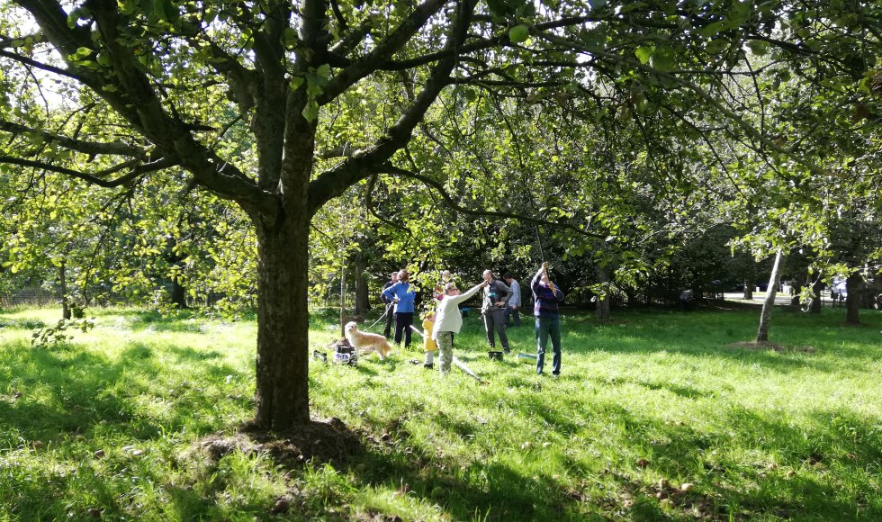 buurtboomgaard Zwijndrecht