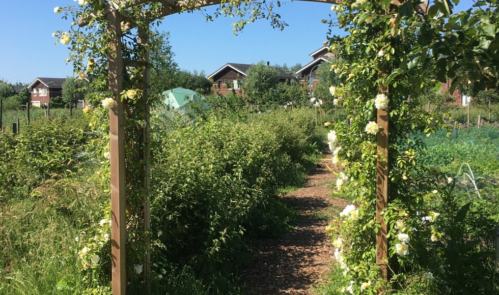 Wijktuin Alphense Wetering
