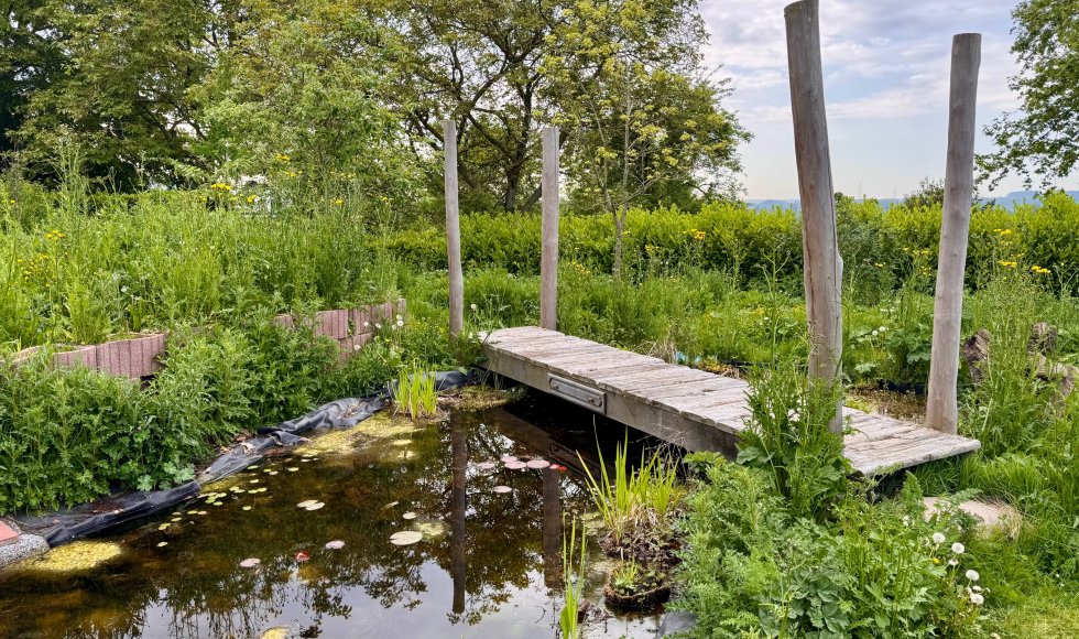 Tom Mestdagh_Schepdaal_Monty Don