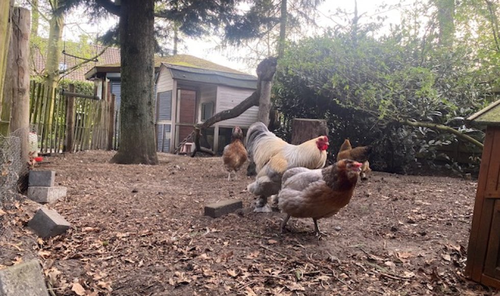 familietuin met biodynamische elementen_Roosendaal