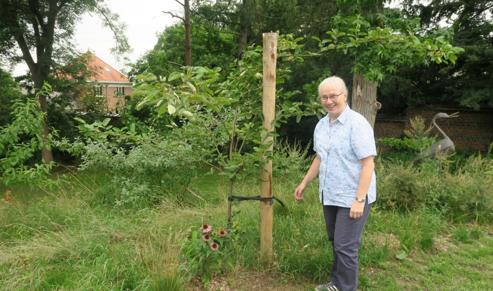 Voedselbos van de hoop