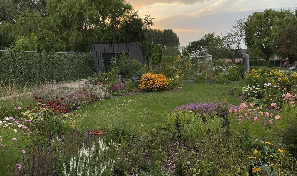 De wondere wereld van Sofie_Scheldewindeke_De Braeckenier