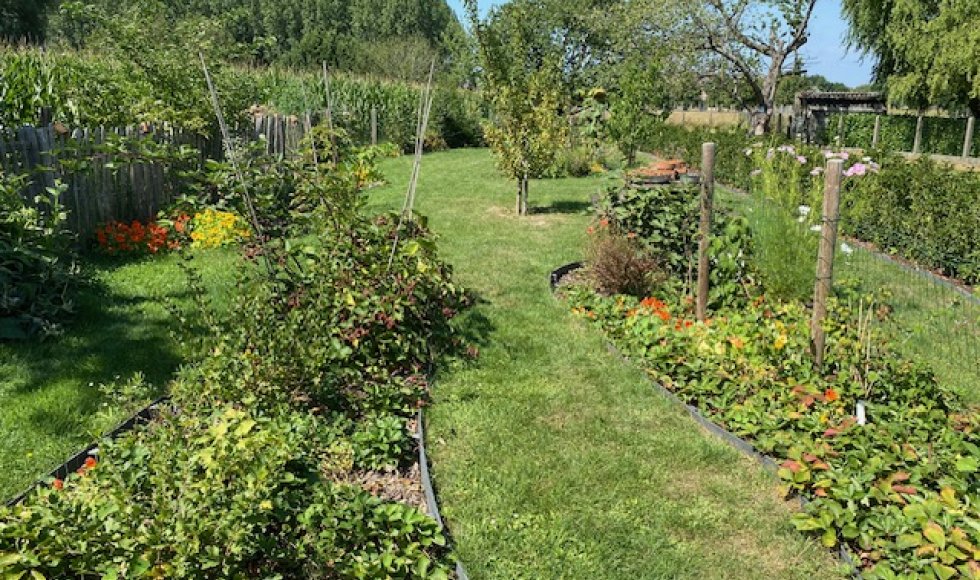 De wondere wereld van Sofie_Scheldewindeke_De Braeckenier