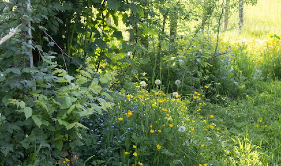 _copyright Kirsten.Bomans