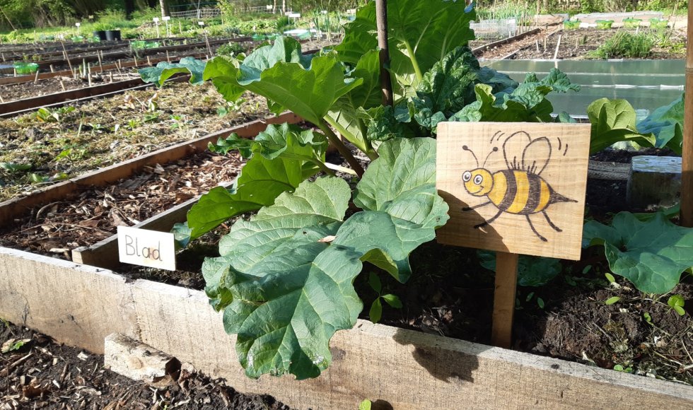 samentuin de moerbei