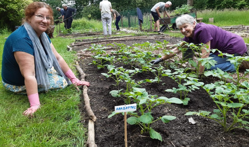 samentuin de moerbei