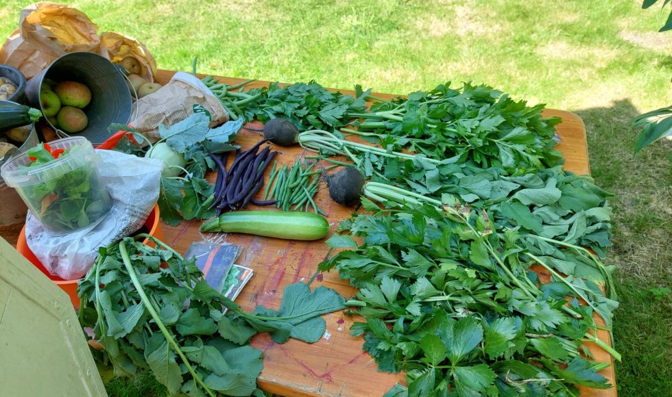 samentuin de moerbei