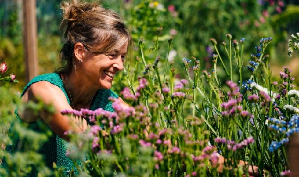 Bloemen-lo, de schoonste bloemenpluktuin van Kessel-Lo