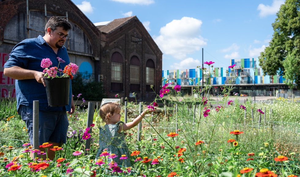 Fleur locale bloemenpluktuin
