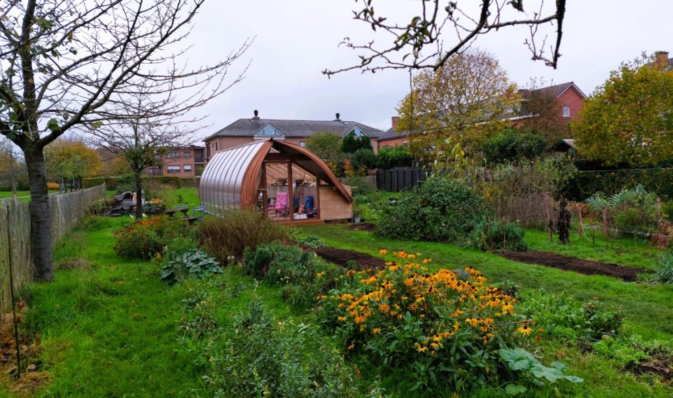 Bloemen-lo, de schoonste bloemenpluktuin van Kessel-Lo