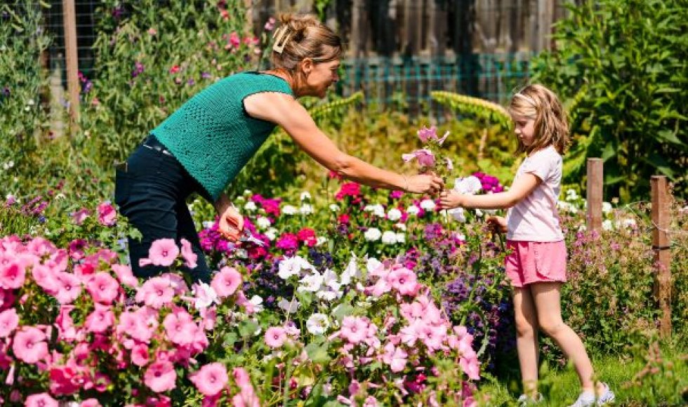 Bloemen-lo, de schoonste bloemenpluktuin van Kessel-Lo