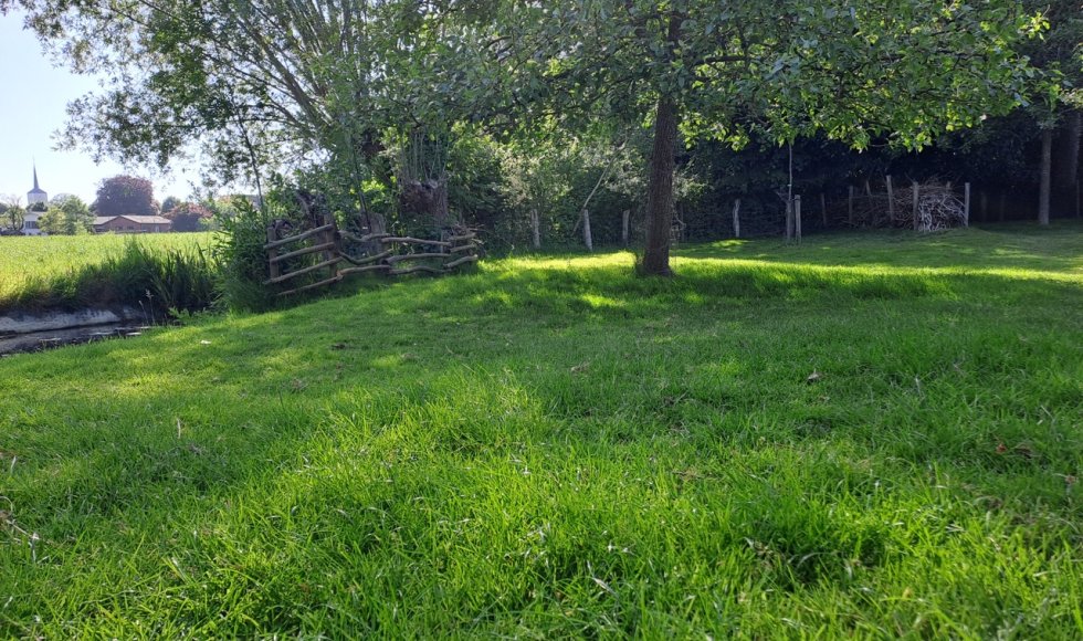 ecotuin familie de roo