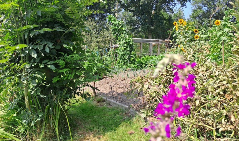 ecotuin familie de roo