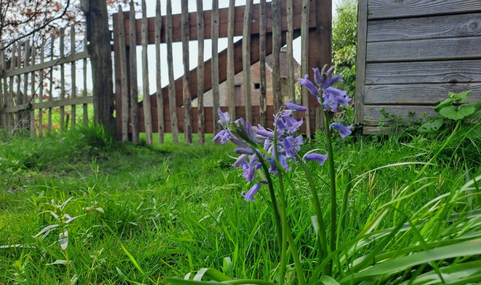 ecotuin familie de roo