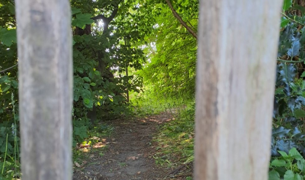 ecotuin familie de roo