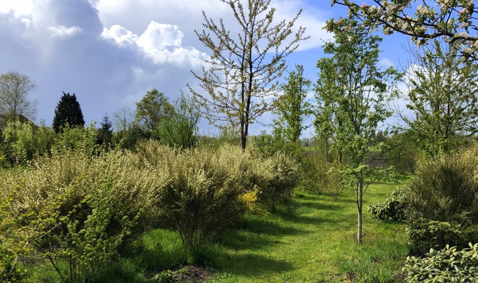 Laren Ecotuin De Trage Tijd2