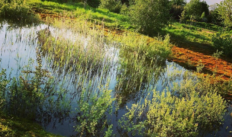 Laren Ecotuin De Trage Tijd3