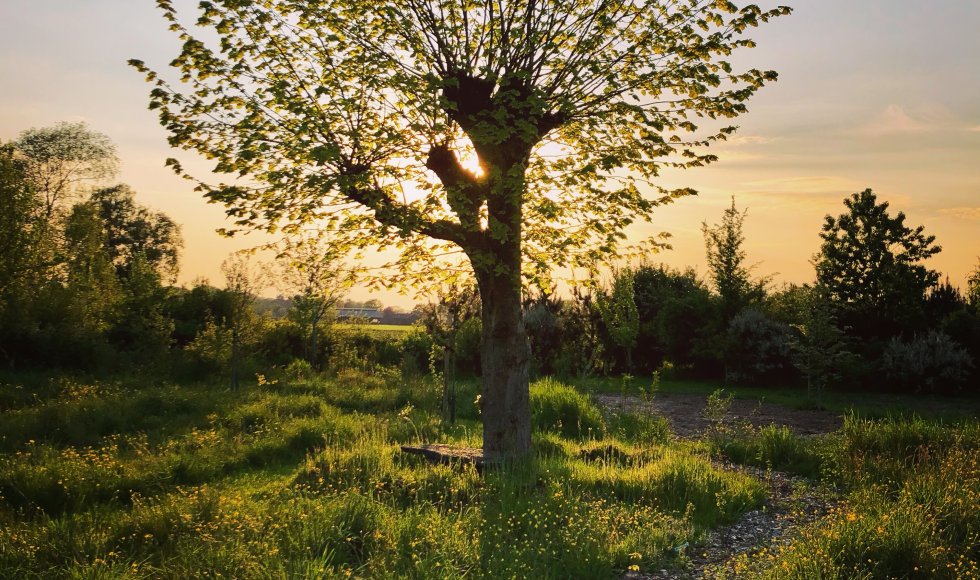 Laren Ecotuin De Trage Tijd4