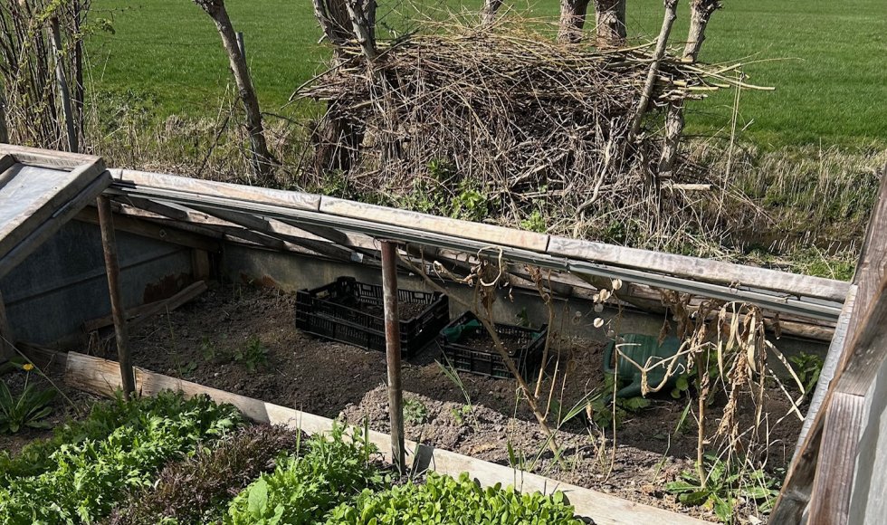 Biodiversiteitstuin Vrij groen