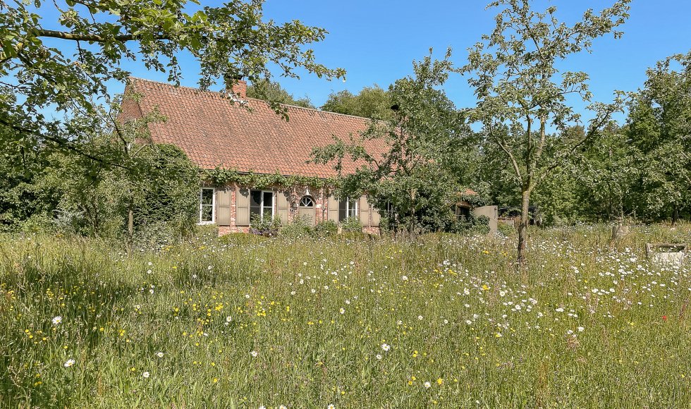 Natuurrijke tuinbeleving