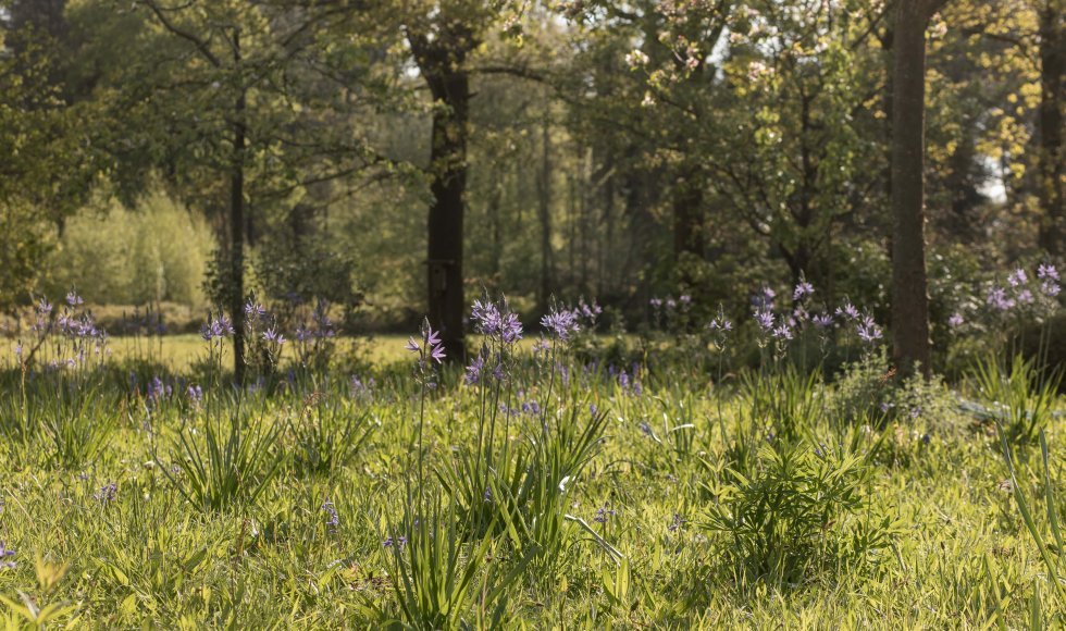 Natuurrijke tuinbeleving