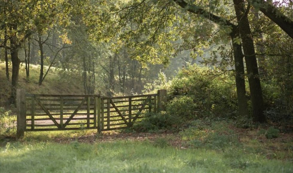 Natuurrijke tuinbeleving