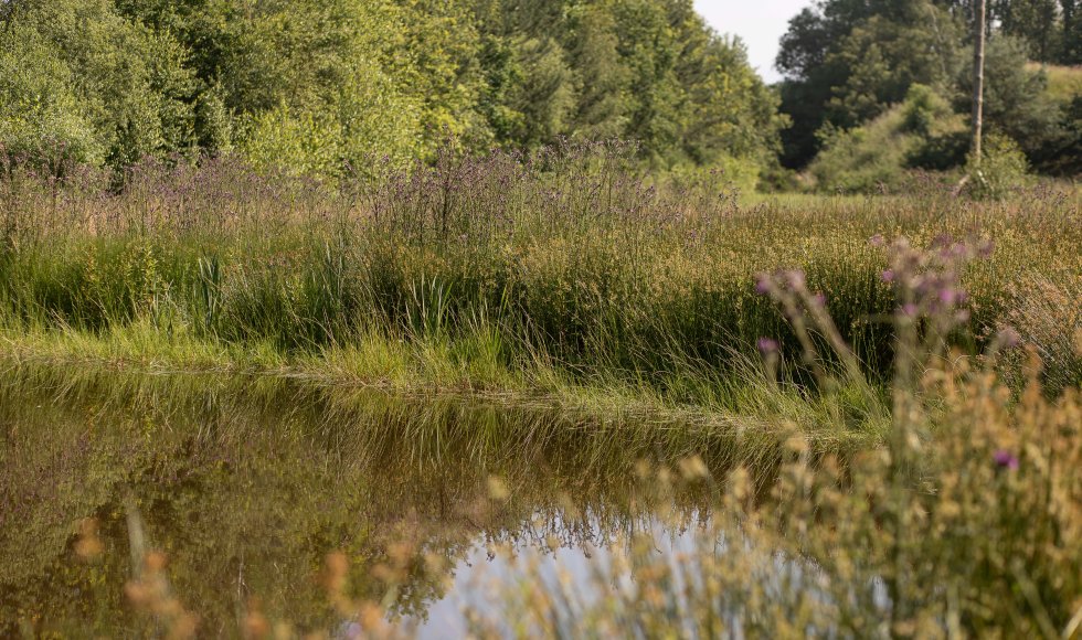 Natuurrijke tuinbeleving