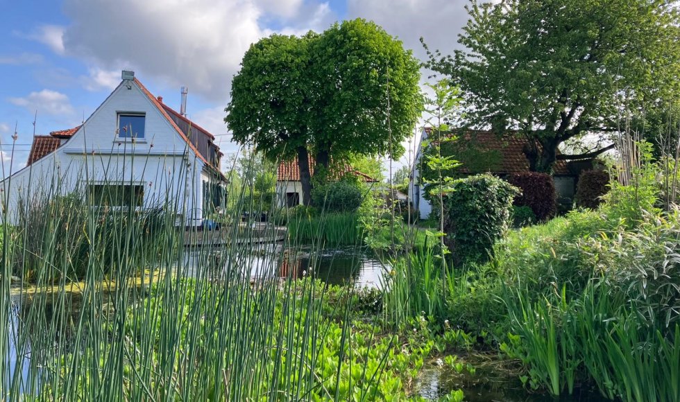 maarkedal-omer wattezstraat-twijland