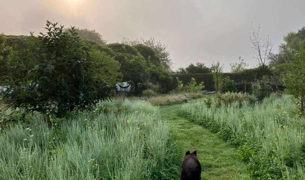 maarkedal-omer wattezstraat-twijland