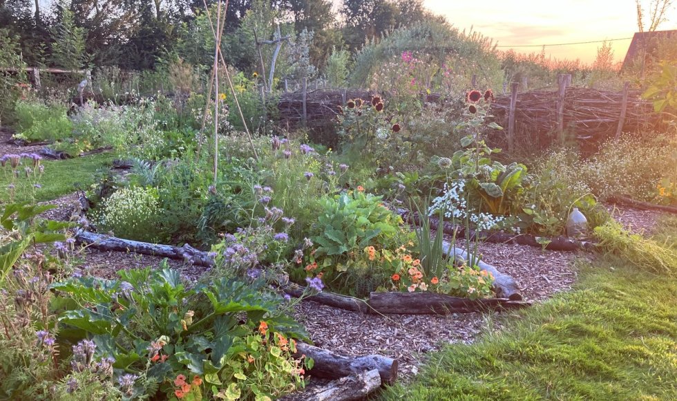 maarkedal-omer wattezstraat-twijland