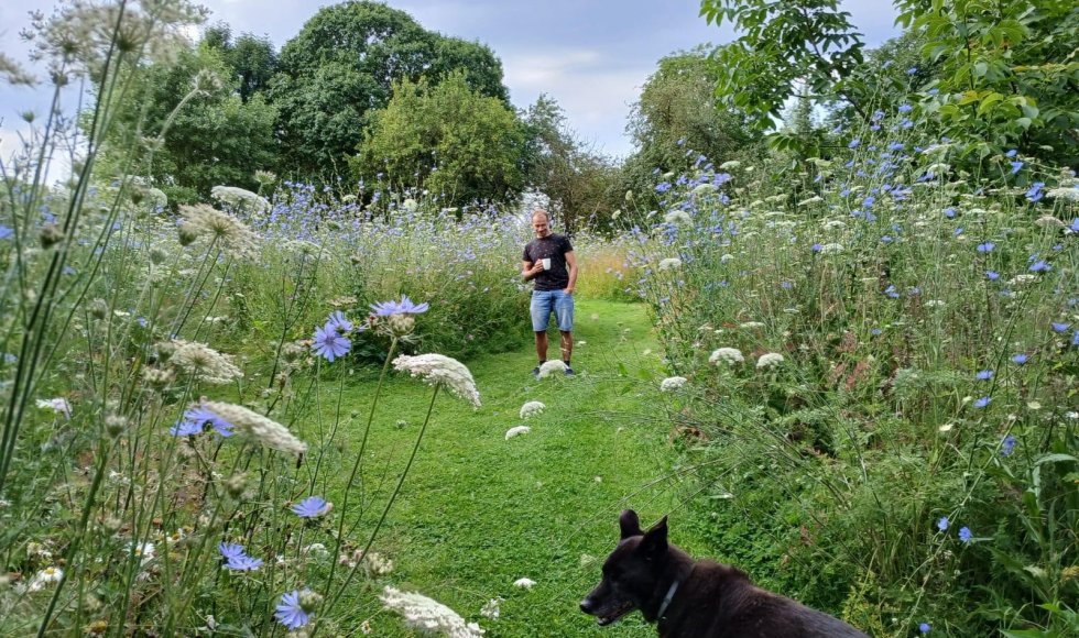 maarkedal-omer wattezstraat-twijland